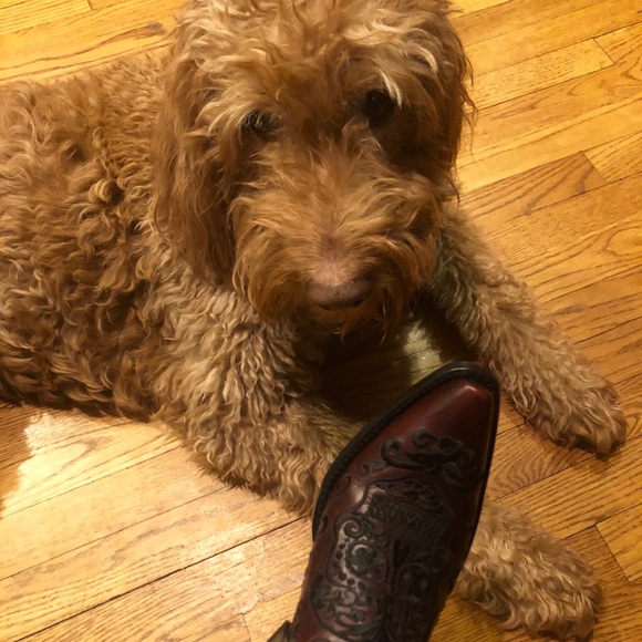 Meet your Posher, Julie.  🖤Sharing is caring🖤 - Picture 8 of 8